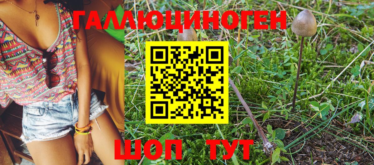 Галлюциногенные грибы Cubensis  Галлюциногенные грибы Magic Shrooms  Сочи  Вход с VPN 